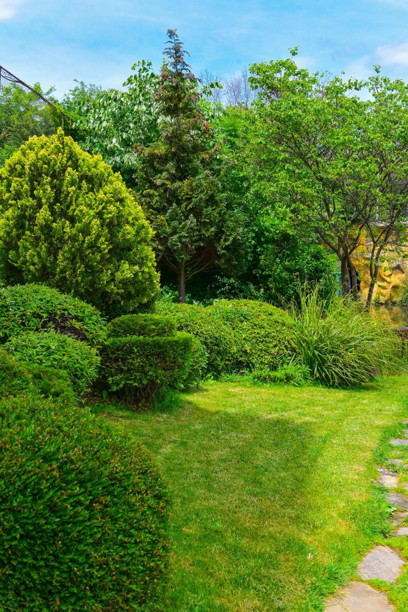 Charming Sunny Apartment+Swimming Pool Sf. Constantin și Elena Exterior foto